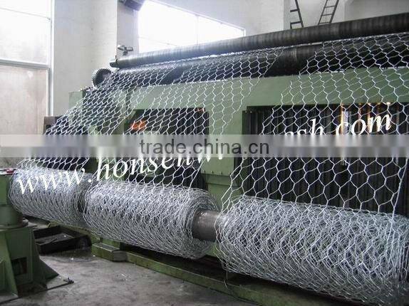 Hexagonal wire netting
