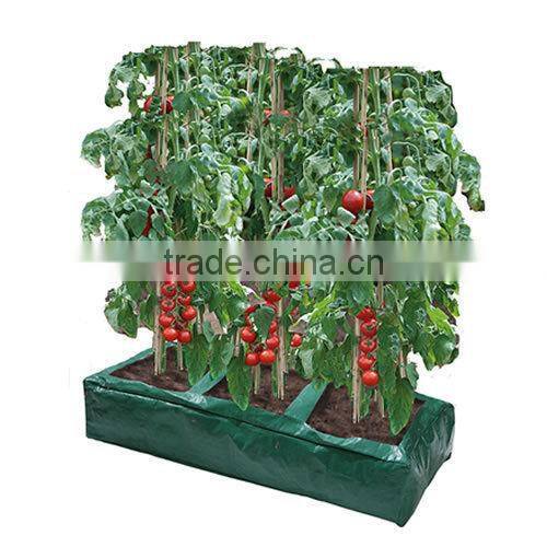 Squra PE Plastic Vegetable Growing Bag