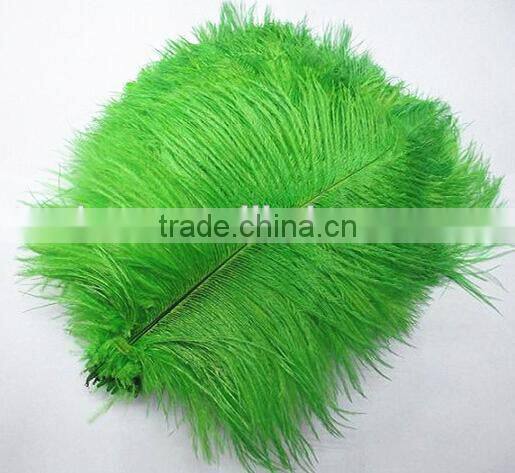 18-20cm Frozen Turquoise ostrich feather Wholesale