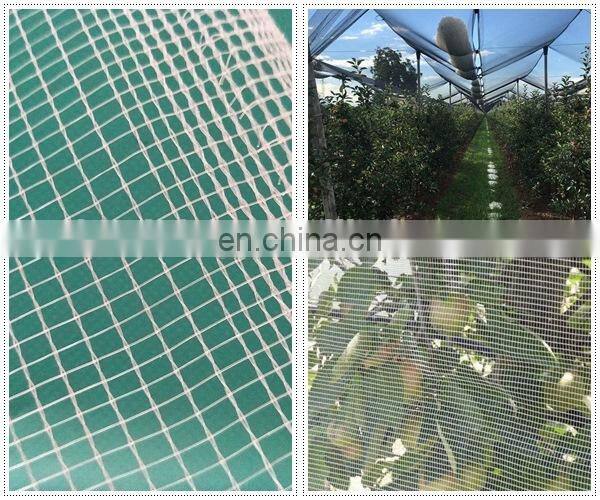 0.9m*25 yards blue color greenhouse anti insect net to Thailand