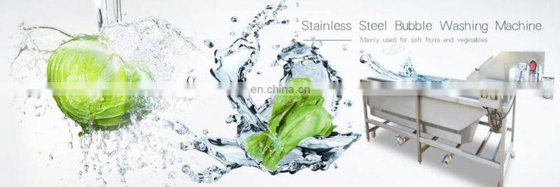 Factory Price Air Bubble Food Cleaning Fruit Washing Vegetable Blanching Machine