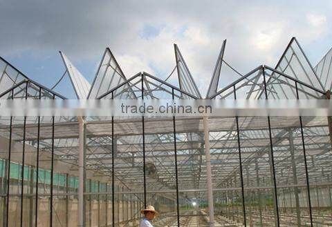 Glass Greenhouse/Agricultural Greenhouse