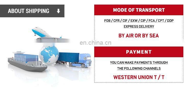 Category 6A Ethernet Cable