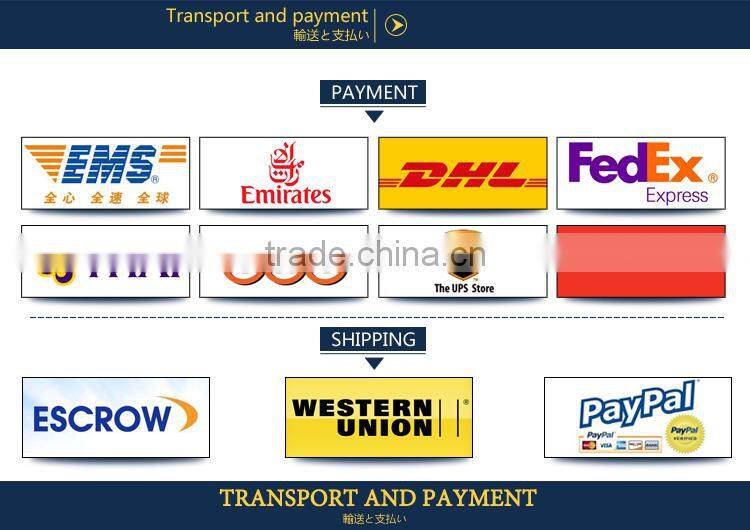 2016 newest fashion day 600D backpack for men laptop backpack