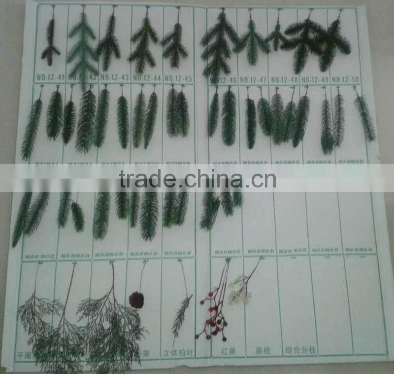 beautiful Christmas tree branch, Christmas tree pine branches