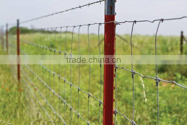 Green paint steel studded t post for USA market
