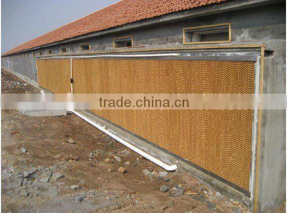 Top quality automatic poultry farm equipment for broiler