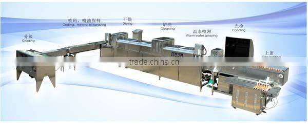 Egg processing machine/ egg washing /egg grading machine