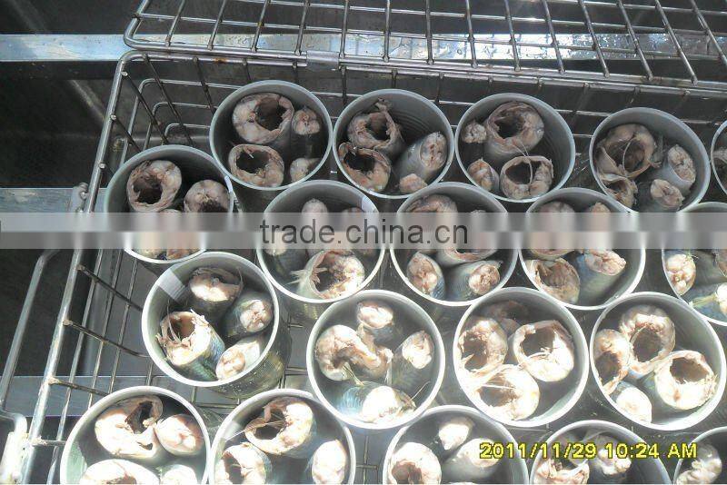 Frozen canned mackerel fish in brine 425g