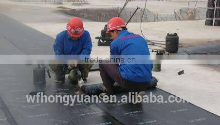 China manufacturer Torched SBS Modified Elastomeric Waterproofing Bitumen Membrane