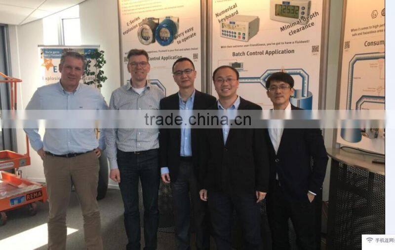 Fluidwell flow meter