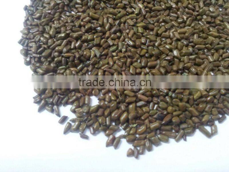 Best Quality of Cassia tora gum Powder (CTGP) from Manohar international