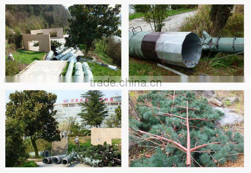 camouflaged pine tree cell phone tower for telecommunication
