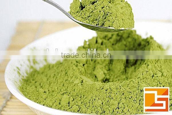 bulk moringa powder extract