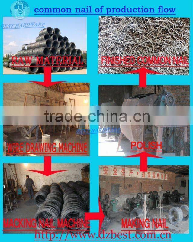 Q195/Q235 Iron common nail