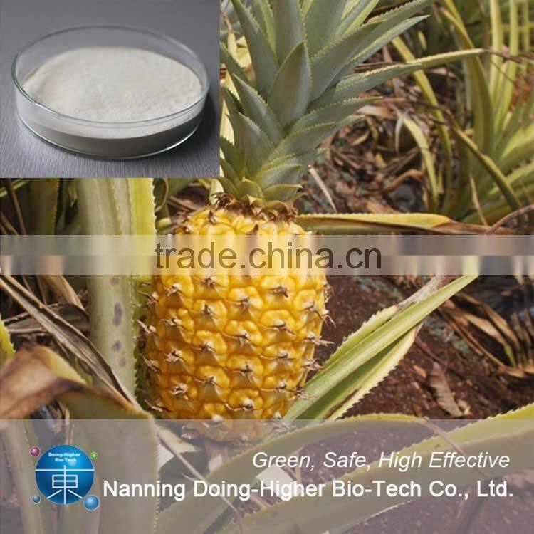 China 100% natural pineapple extract bromelain plant extract bromelain 9001-00-7