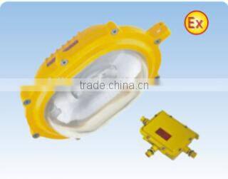hotsale infield explosion-proof IP65 floodlight