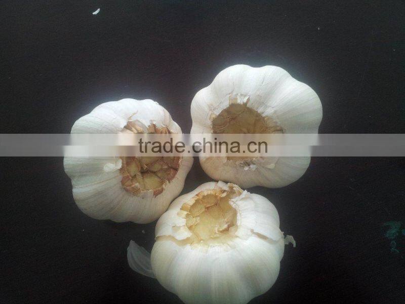 garlic root cutting/garlic cutting machine/garlic end cutter/root concave cutting machine