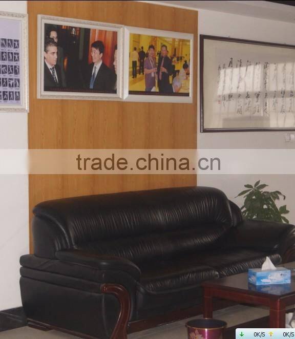 waterproof WPC wall panel