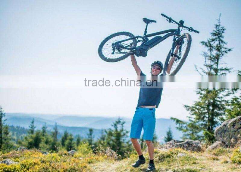 Japan Cell 36v 11.6Ah Electric Bike Lithium Deep Cycle Battery Pack