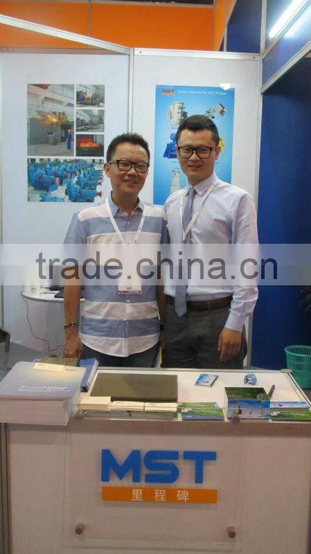 Heavy Duty Industry Mining hydraulic gear pump