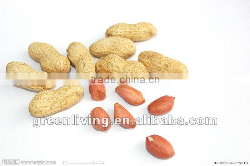 good quality peanut in shell from china