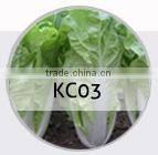 E08 Shengyuan No.2 f1 hybrid black eggplant seeds, 700 to 850grams in weight, round shape