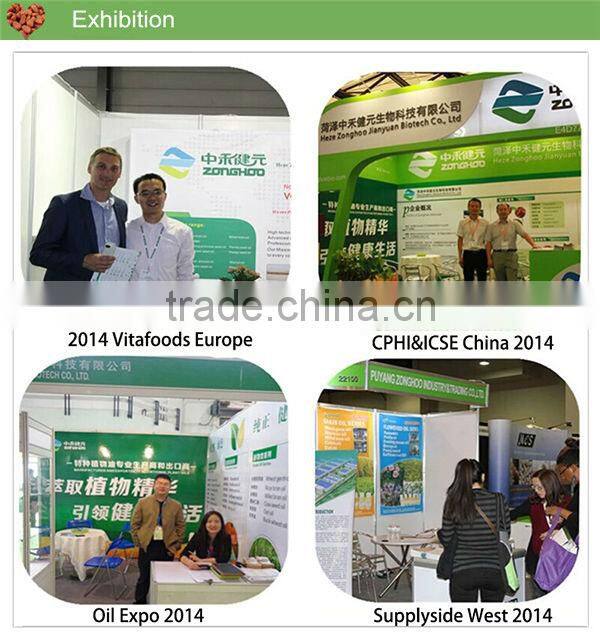 pure pine nut oil physical cold pressed nutritional oil