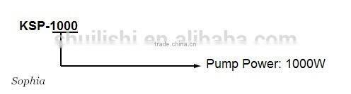 Brushless DC Solar Water Pump for Swimming Pool