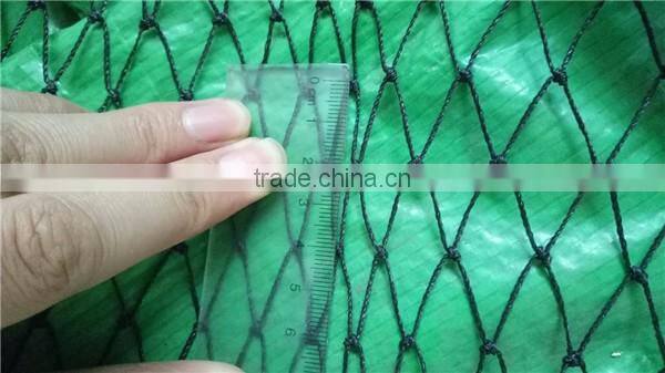 long life quality guarantee agricultural bird net