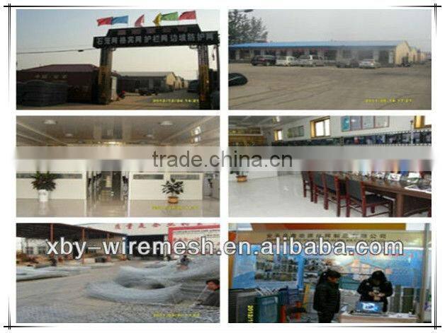 PVC Coated Galvanized Poultry Netting