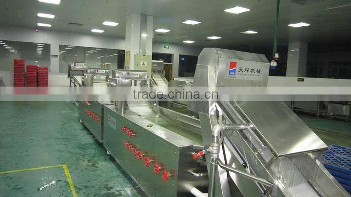 TW-306 automatically vegetable washing machine(Video)
