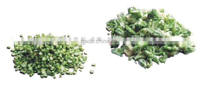 dehydration equipment dehydrated cabbage processing machine corn dryer