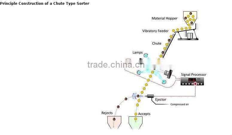 china Anhui Hons+ CCD Betelnut seed color sorter machine