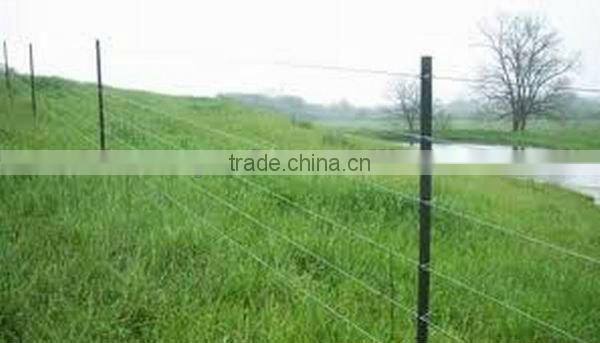 Fiberglass Electric Fence Post