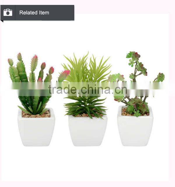 Artificial mini aloe little plants succulents plants artificial mini succulents