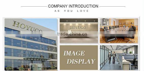 HOYUGO hot selling plain women fitted blank t-shirts women t shirt