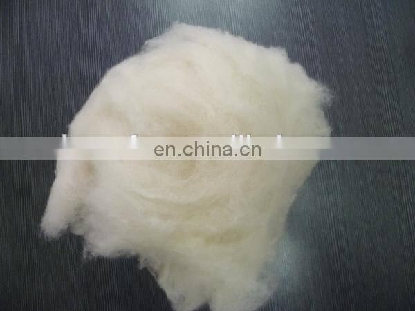 carded and dehaired cashmere fiber for India market