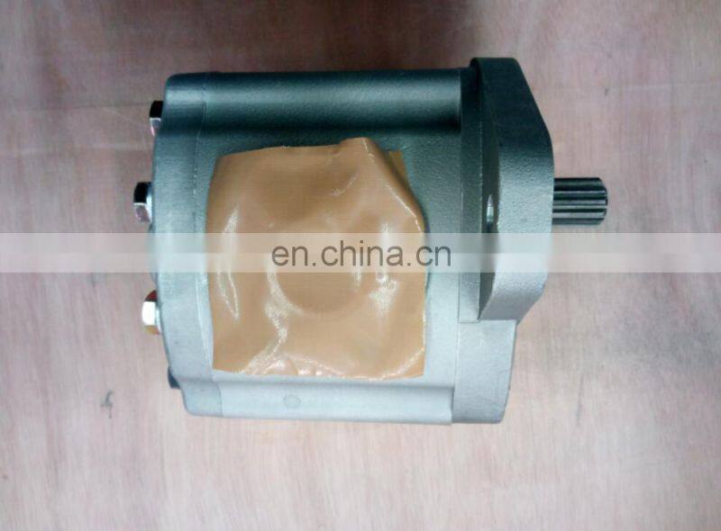 23A-60-11101 gear pump.jpg