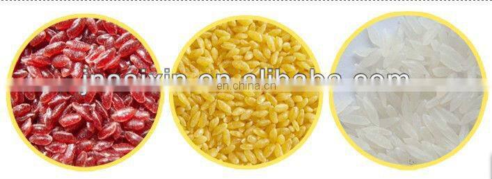 Fortified Rice Processing Line