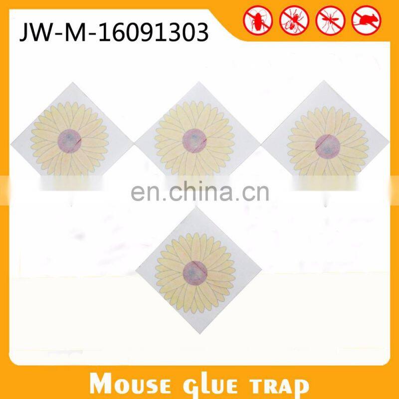 Pest Control Equipment Window Sticker Fruit Fly Glue Traps