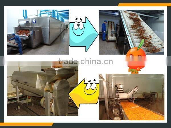 Leader high efficiency sea buckthorn fruit juice production machine