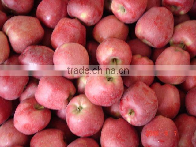 Chinese Huaniu apple