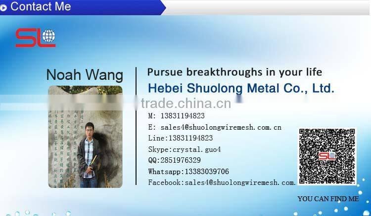 Hebei High Quality 2x2 galvanized welded wire mesh