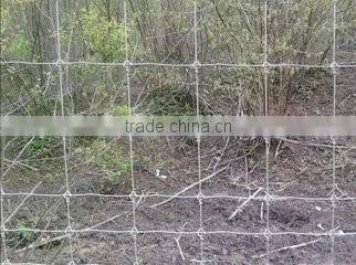 XP Powder Coated High Strengthen Farm Field Fence