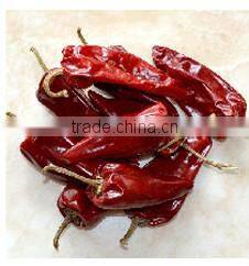 Big Size Chili Cutting Ring Chili Segment Chili Circle