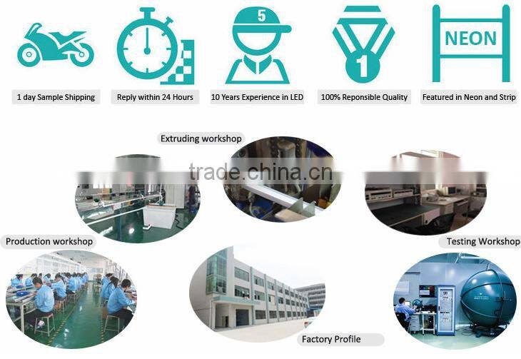 2016 hot prouduct high voltage color changing smd led rope light,with UL,ETL,CE,Rhos