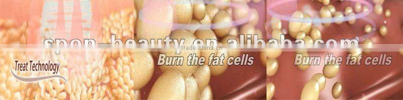 LIPO LASER slimming machine