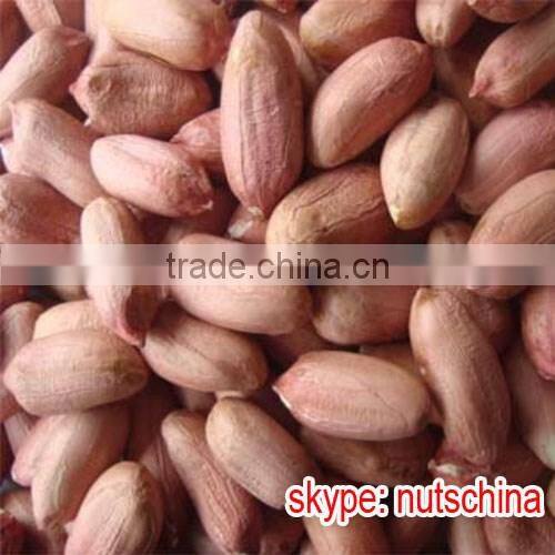 peanut kernels 21/23 24/26 24/28