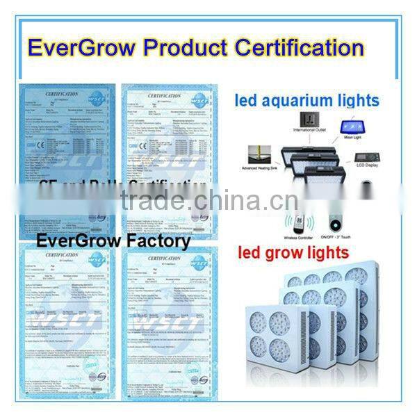Auto dimming IT2040 55x3w aquarium led lighting coral grow